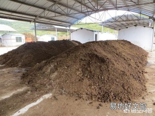 现在人种地为什么都不用农家肥了？