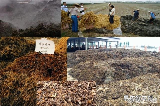现在人种地为什么都不用农家肥了？