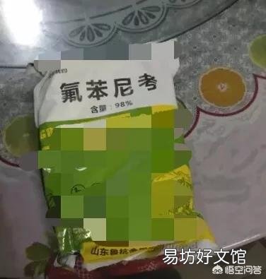 哪些猪病的治疗首选氟苯尼考?如何高效使用?