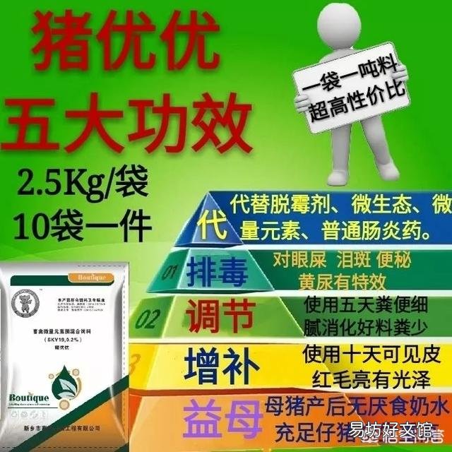 母猪产后应该如何护理,可以吃什么草药?