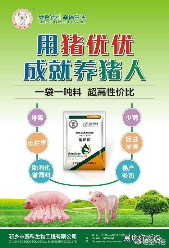 母猪产后应该如何护理,可以吃什么草药?