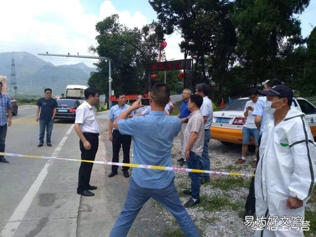 南方两地猪价超过10元,未来猪价将走势如何?