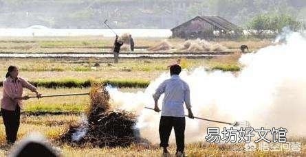 秸秆焚烧是不是雾霾的罪魁祸首？有什么依据吗？