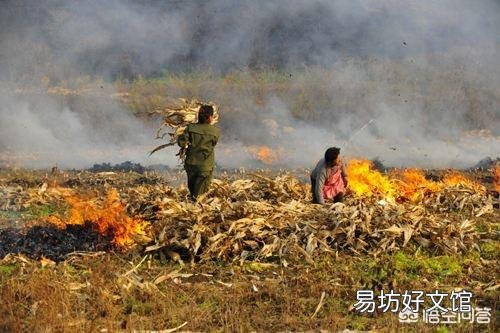 秸秆焚烧是不是雾霾的罪魁祸首？有什么依据吗？