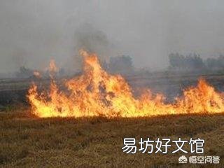 秸秆焚烧是不是雾霾的罪魁祸首？有什么依据吗？