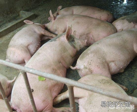 咳嗽气喘,如何科学防控?