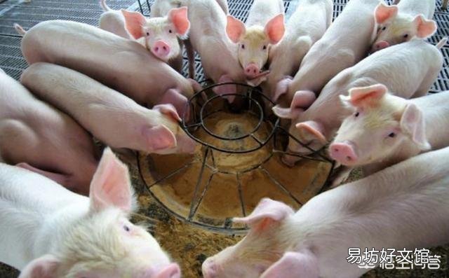 咳嗽气喘,如何科学防控?