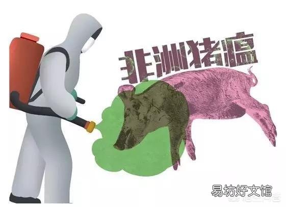 为防控非洲猪瘟,全国16省暂停生猪跨省调运,养殖户该如何应对?
