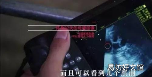 如何判断母猪是否怀孕,都哪些方法判断?