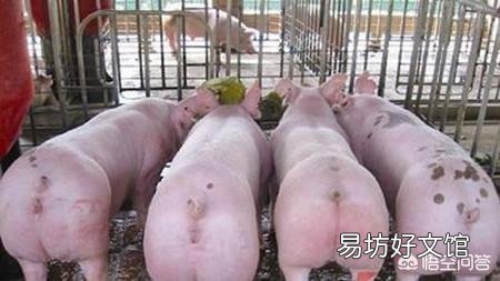 双汇自检出疫情猪肉，有错吗？你怎么看？