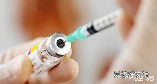 猪口蹄疫症状怎么治疗?