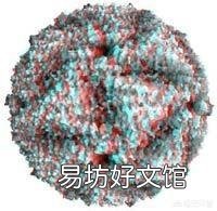 猪口蹄疫症状怎么治疗?