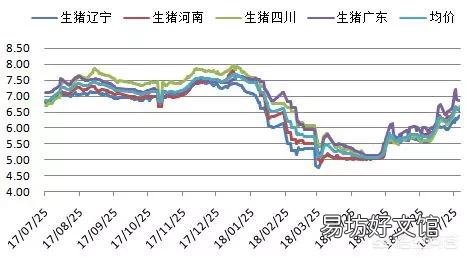 8月份的生猪还能涨价吗?