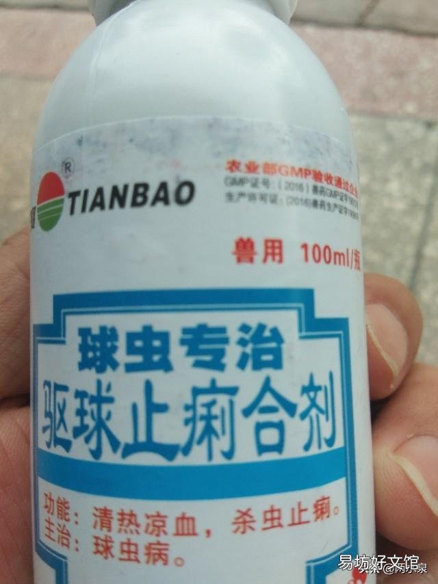 仔猪拉稀用什么药效果好？