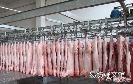 国内出现首例非洲猪瘟疫情,猪肉还可以继续吃吗?如何挑选安全的猪肉?