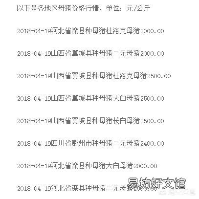 现在养母猪可以吗,效益怎么样?