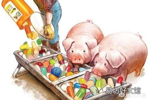 养猪场如何制定免疫程序,最好具体详细步骤?