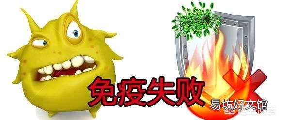 养猪场如何制定免疫程序,最好具体详细步骤?