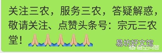 投资养猪场怎么样?
