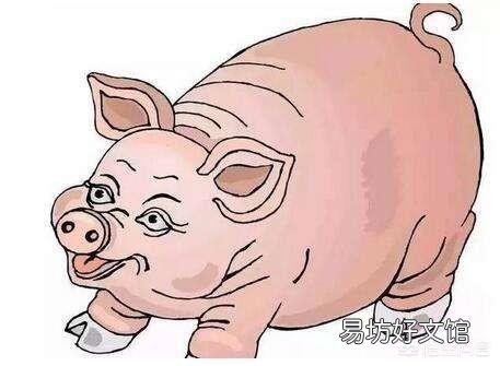 猪价便宜，现在开养猪场是否可行？
