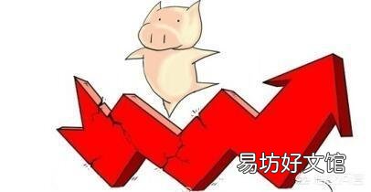 猪价便宜，现在开养猪场是否可行？