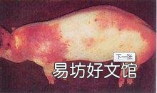 什么是副猪杆菌病?