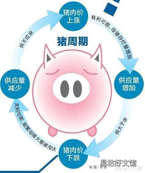 生猪价格会一路涨下去吗?下半年行情你怎么看?