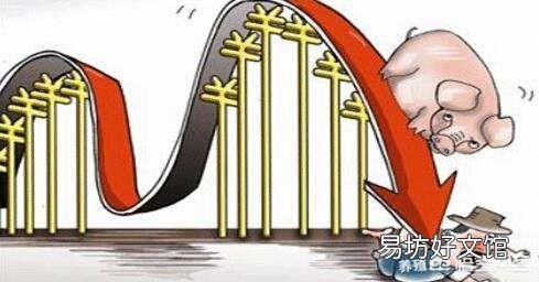 生猪价格会一路涨下去吗?下半年行情你怎么看?
