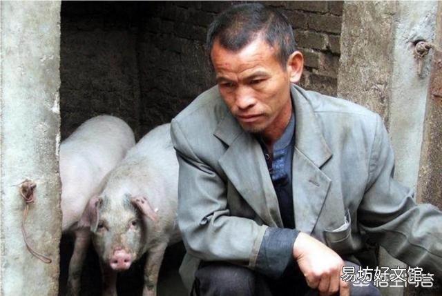 猪农：猪肉终于涨价了吗？