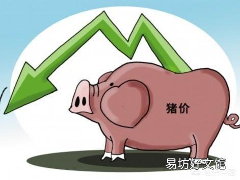 猪农：猪肉终于涨价了吗？