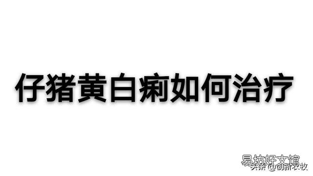 仔猪黄白痢有什么冶疗好办法？