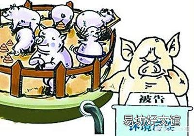 今年养不好猪的是否应该放弃?
