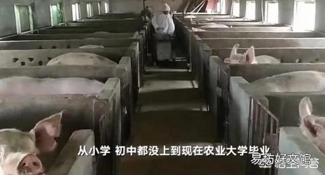 河北成安脑瘫男子办养猪场致富,每年送50头猪仔给残疾人,你怎么看这件事?