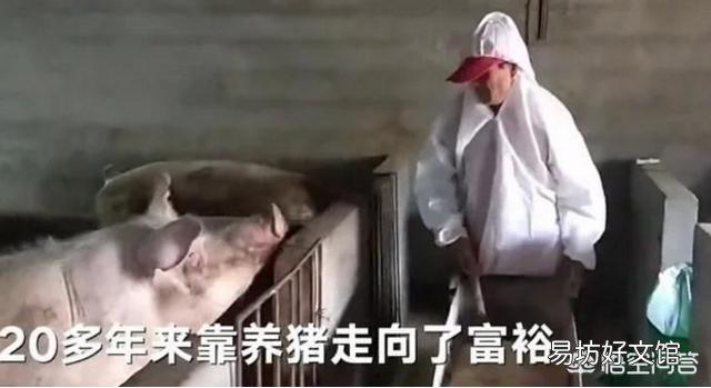 河北成安脑瘫男子办养猪场致富,每年送50头猪仔给残疾人,你怎么看这件事?