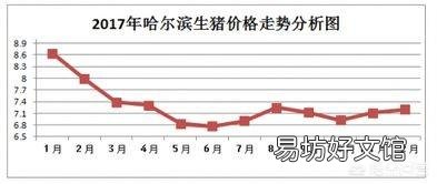 2019年年猪价会怎么样?比今年的价格高吗?