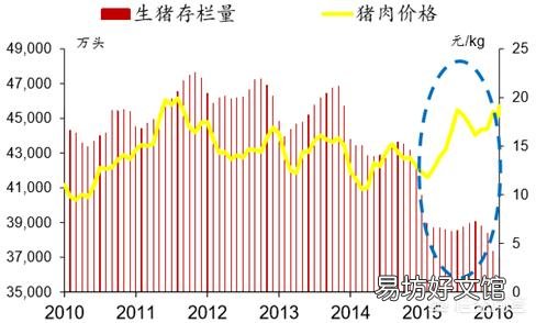2019年年猪价会怎么样?比今年的价格高吗?