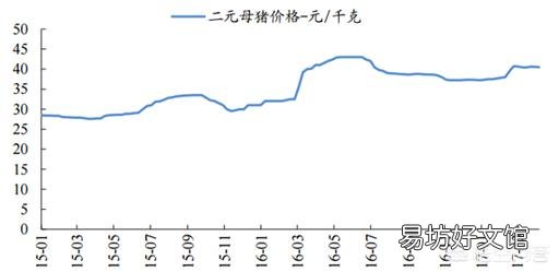 2019年年猪价会怎么样?比今年的价格高吗?