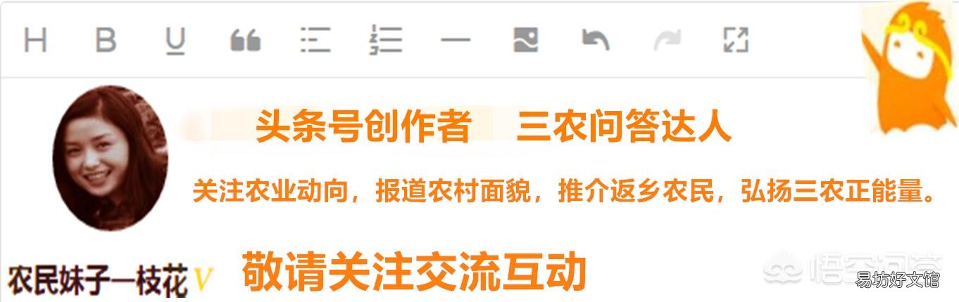 生猪价格持续低迷,会对中国畜牧行业造成哪些影响?