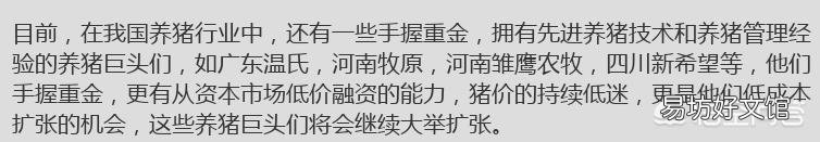 生猪价格持续低迷,会对中国畜牧行业造成哪些影响?