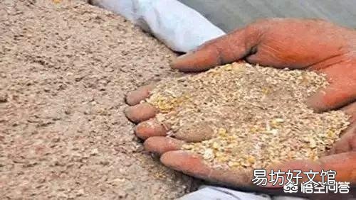 养殖业中,米糠可以替代麸皮吗?会有什么影响?