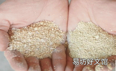 猪生长的各个阶段喂什么料好呢?