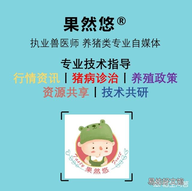 猪场新出生小猪下来大小不一,养猪人应该如何解决?