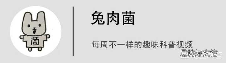 猪感冒吃什么药？