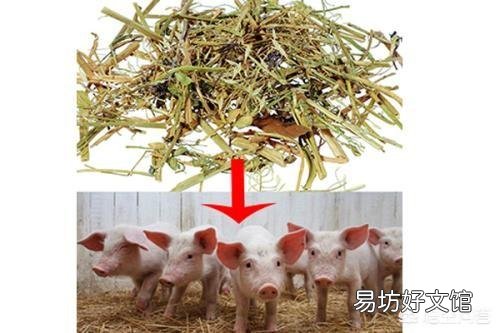 现在中国的畜牧兽药质量在地域上,是不是存在比较明显的好坏之分?