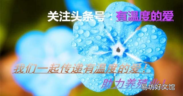 为啥用了那么多咳喘药就是不顶用，猪呼吸道疾病反反复复，怎么办？