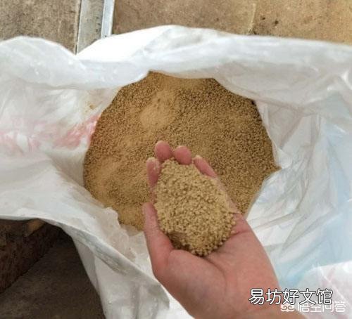 应该给猪喂干粉料、湿拌料还是颗粒料?