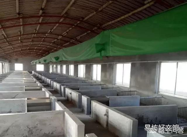 猪场要怎么实现良好的散热和保温?