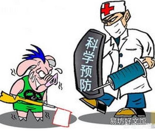 刚出生一天的仔猪逐渐的不吃奶，并逐渐进入昏迷状态，是什么病？