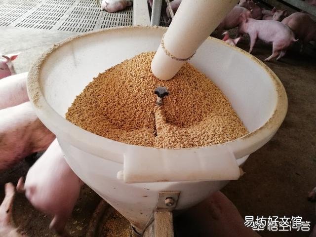 畜牧养殖业的发展前景怎么样?