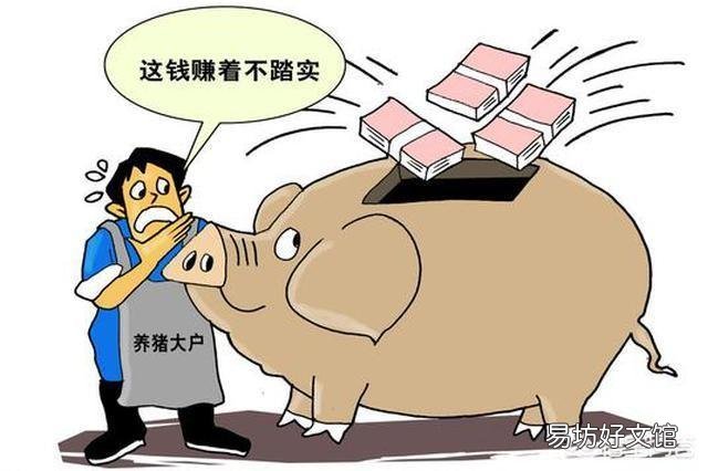 生猪下半年行情会怎样?